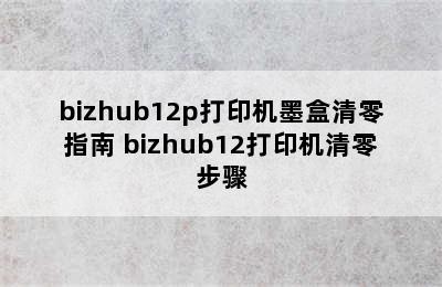 bizhub12p打印机墨盒清零指南 bizhub12打印机清零步骤